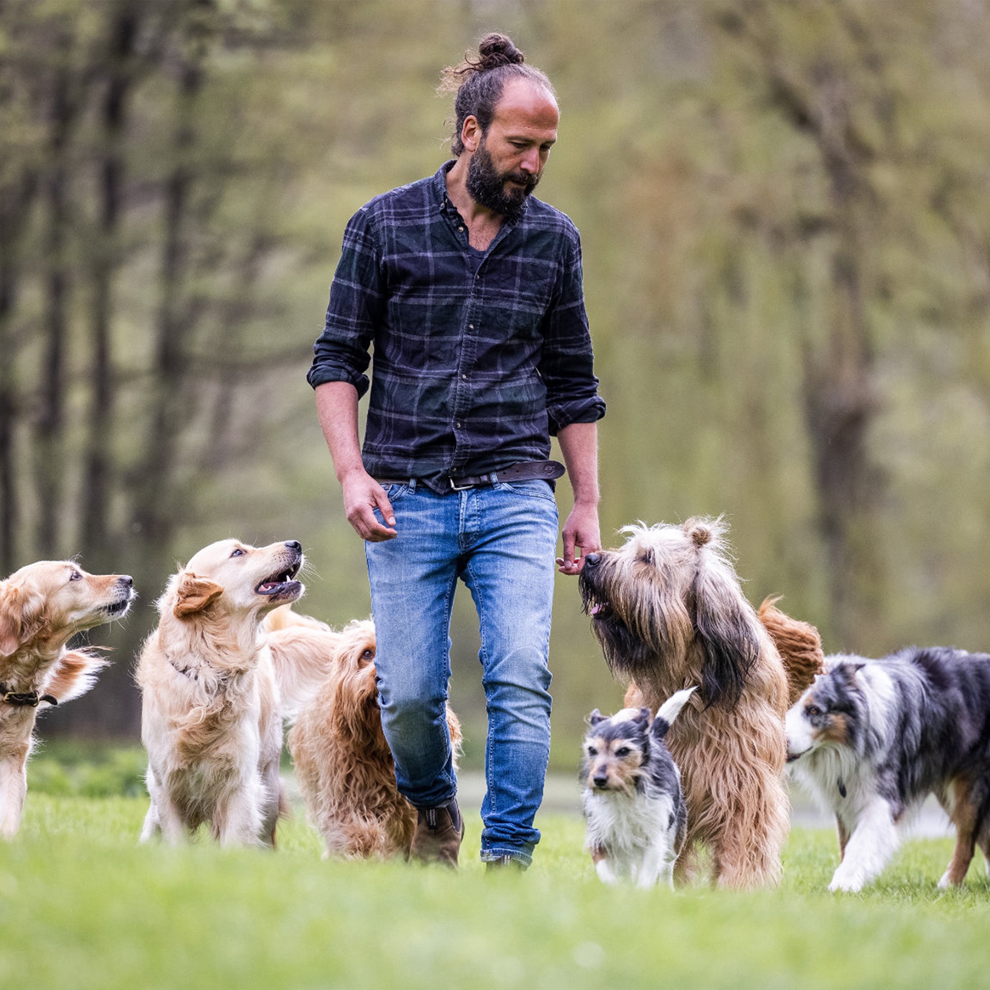 Der zugewandte Hund!